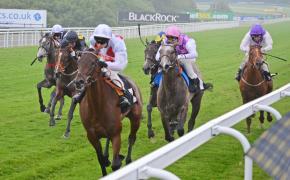 Racing into the final furlong